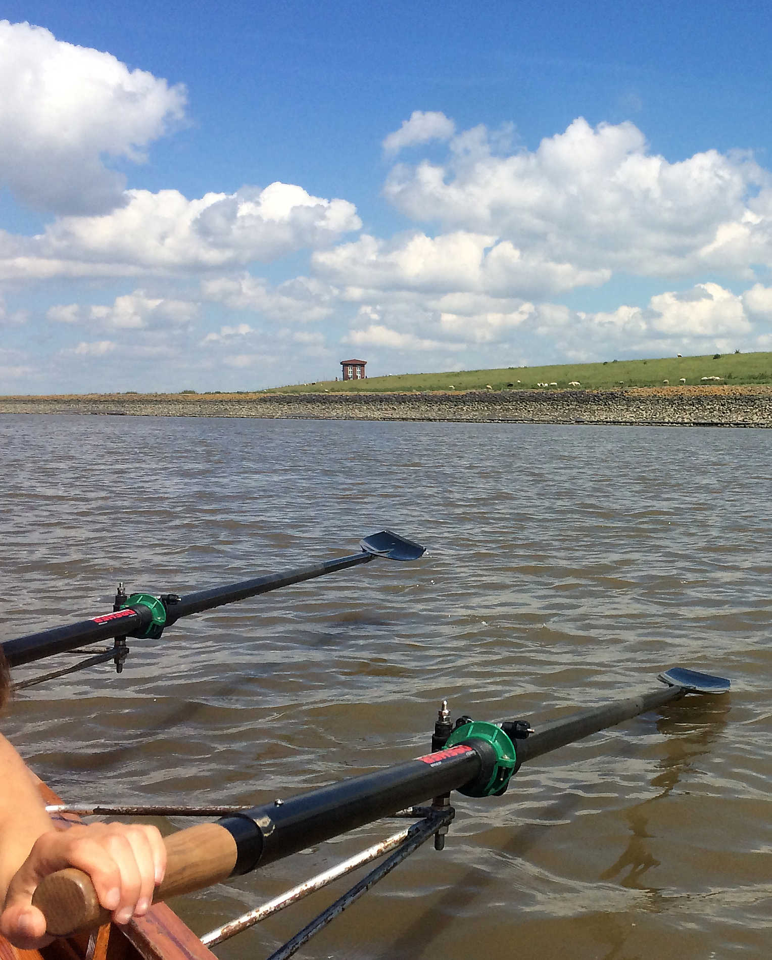 Photo taking from the steering position of a rowing boat showing the side of the boat and two oars mid-stroke. The sky is blue with a smattering of fluffy clouds, and the silty water is calm.