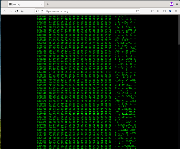 screenshot the home page of J. Zawinkski, Matrix style green hex numbers on a black background